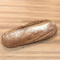 Miniature Pain variété ancienne Pain Budi Bio